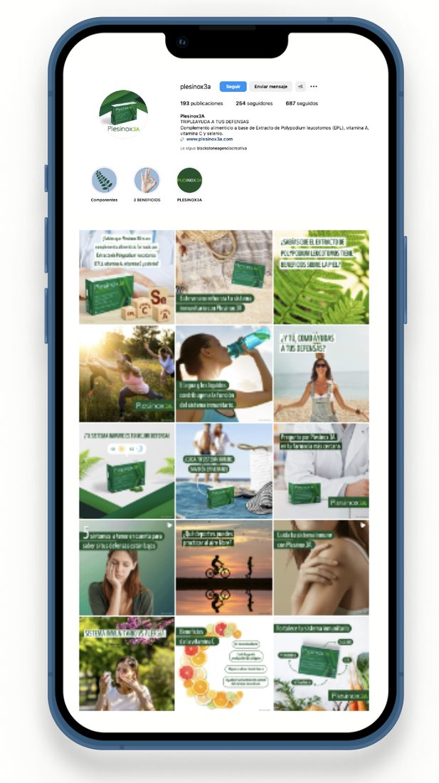 Proyecto de marketing digital Blackstone — Blackstone Digital