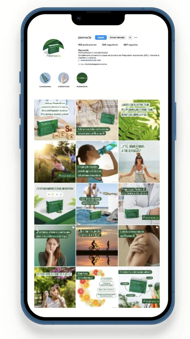Projecte de màrqueting digital Blackstone — Blackstone Digital